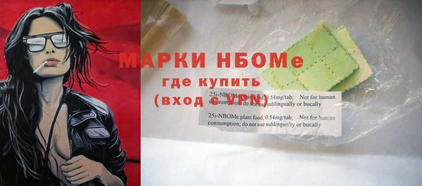 шишки Арсеньев