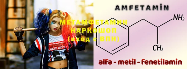 шишки Арсеньев