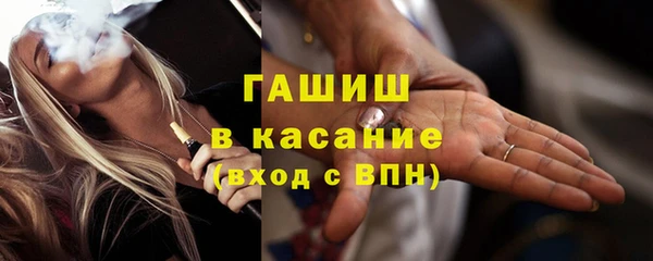 шишки Арсеньев