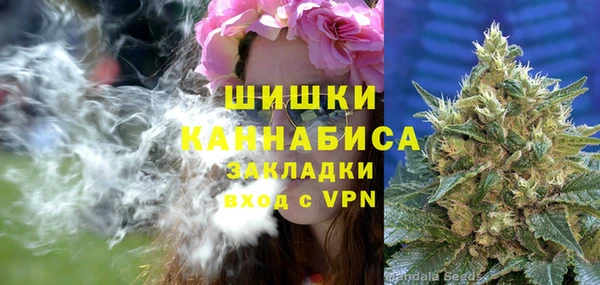 шишки Арсеньев