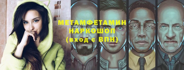 шишки Арсеньев
