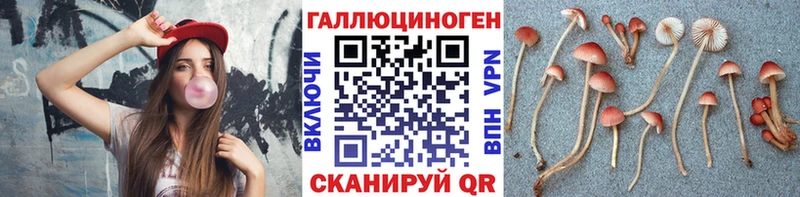 Галлюциногенные грибы прущие грибы площадка Telegram Майкоп